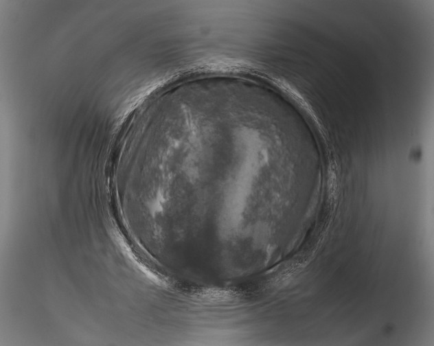 X0000116100581200912140959