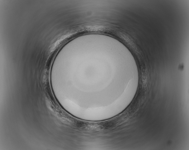 X0000116100583200912140959