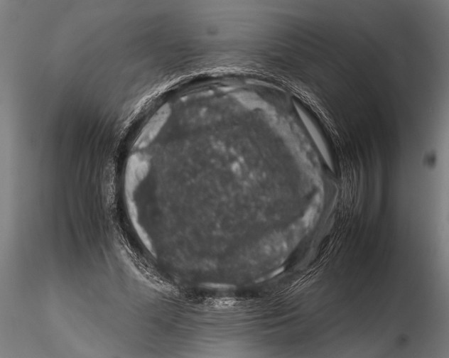 X0000116100588200912140959