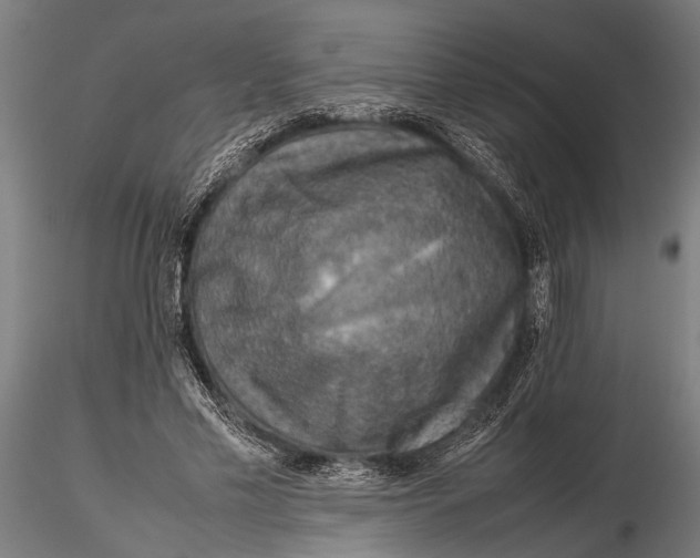 X0000116100589200912140959