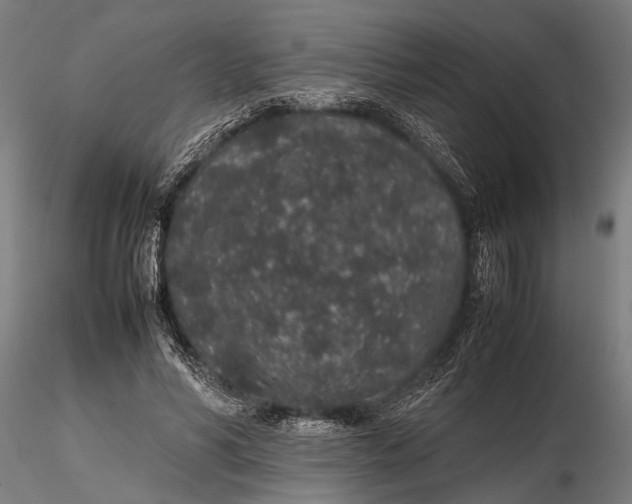 X0000116100590200912140959