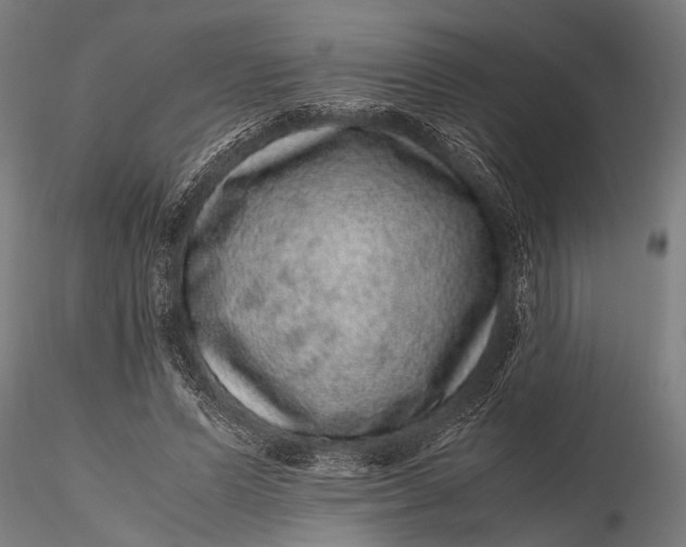 X0000116100591200912140959