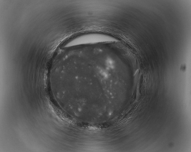 X0000116100592200912140959