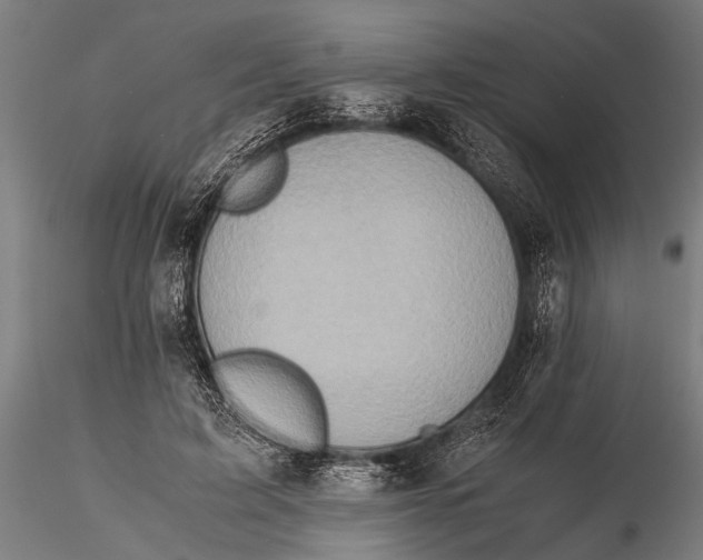 X0000116100595200912140959