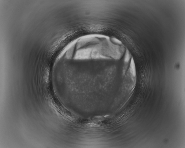 X0000116100596200912140958