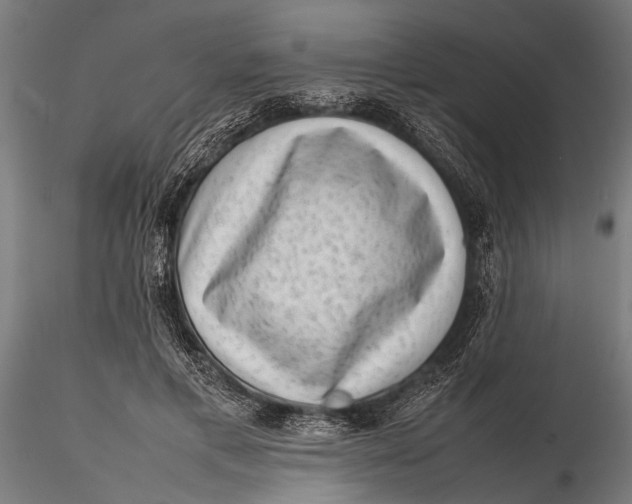 X0000116100597200912140958