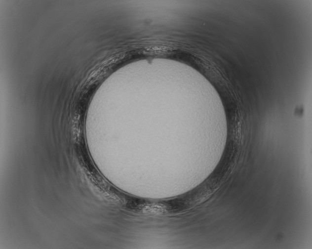 X0000116100599200912140958