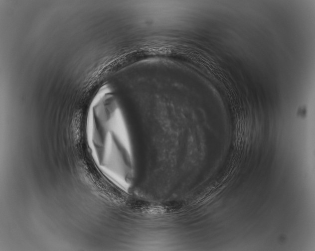 X0000116100600200912140958