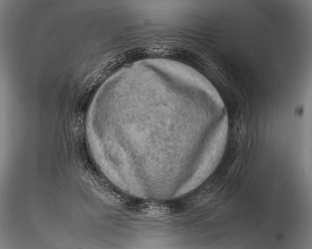 X0000116100601200912140958