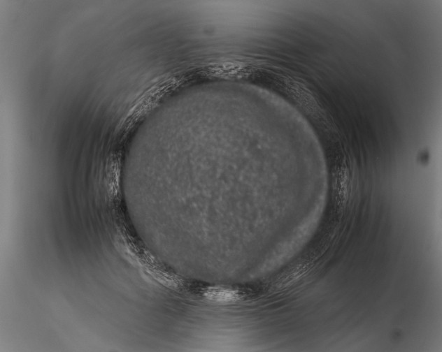 X0000116100602200912140958