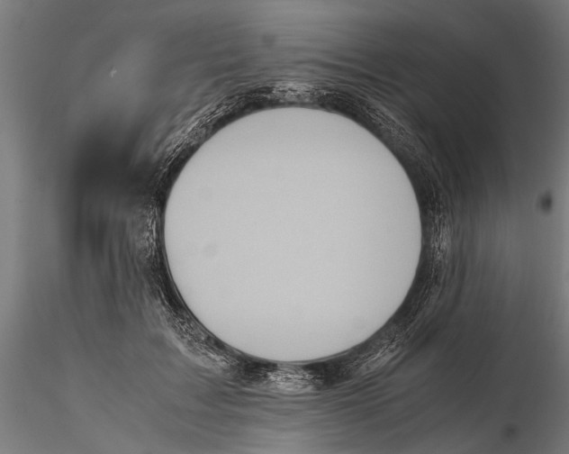 X0000116100603200912140958