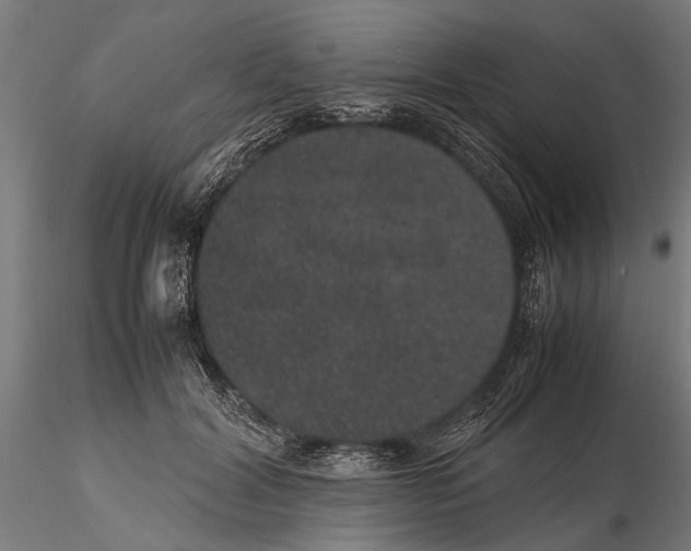 X0000116100604200912140958