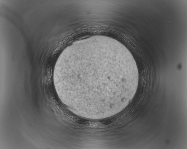 X0000116100605200912140958