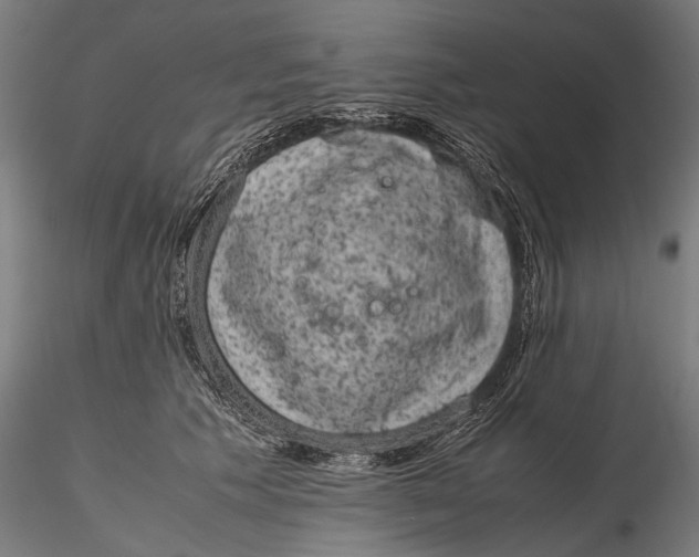 X0000116100609200912140958