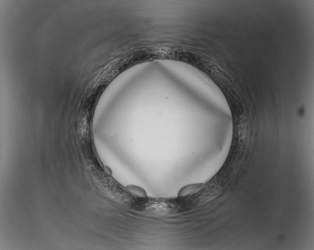 X0000116100611200912140958