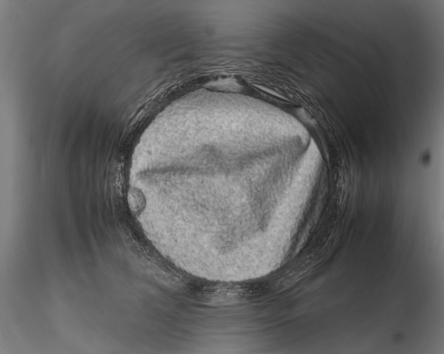 X0000116100612200912140958