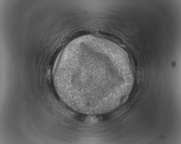 X0000116100613200912140958