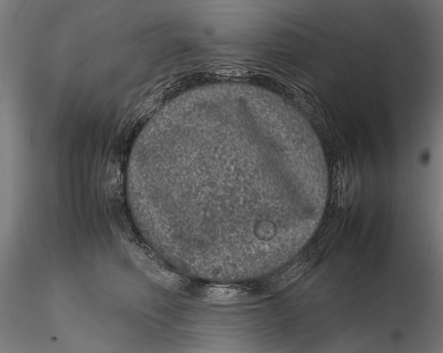 X0000116100614200912140958