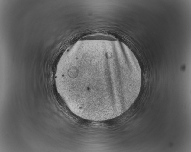 X0000116100617200912140958