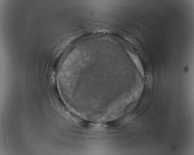 X0000116100621200912140958