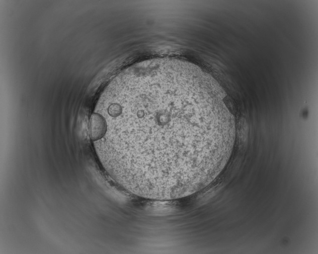 X0000116100622200912140958