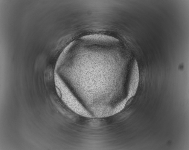 X0000116100623200912140958