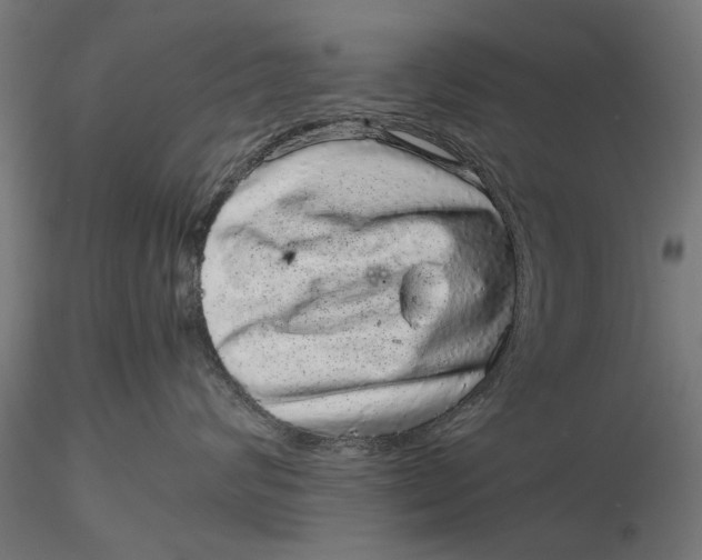 X0000116100624200912140958