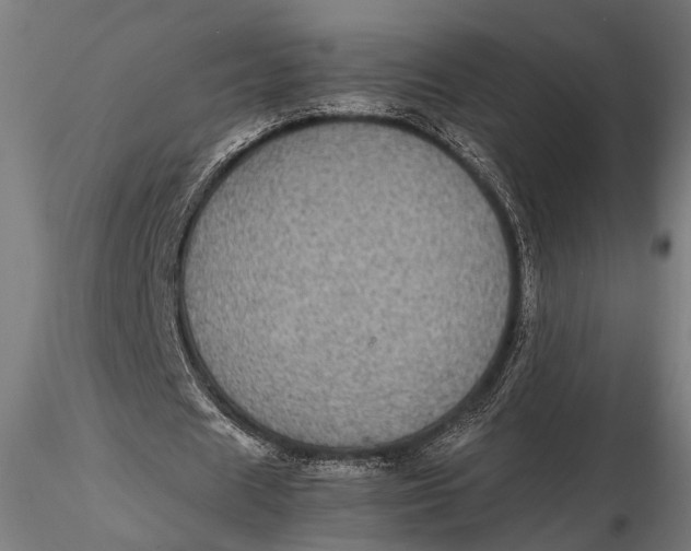 X0000116100625200912140957