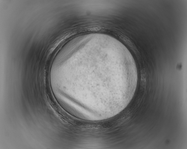 X0000116100626200912140957