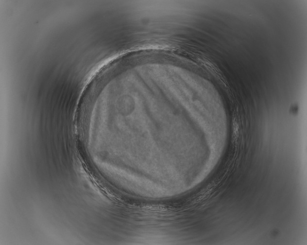 X0000116100628200912140957