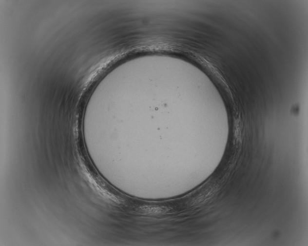 X0000116100629200912140958