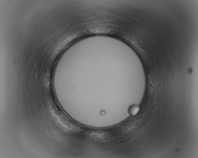 X0000116100631200912140958