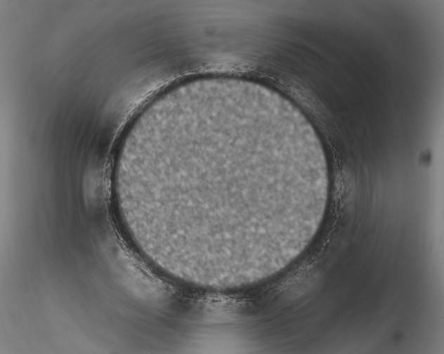 X0000116100632200912140958