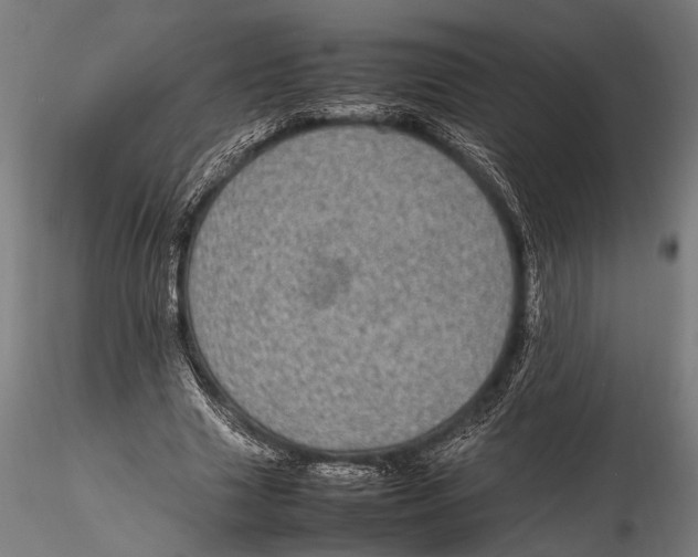 X0000116100633200912140958