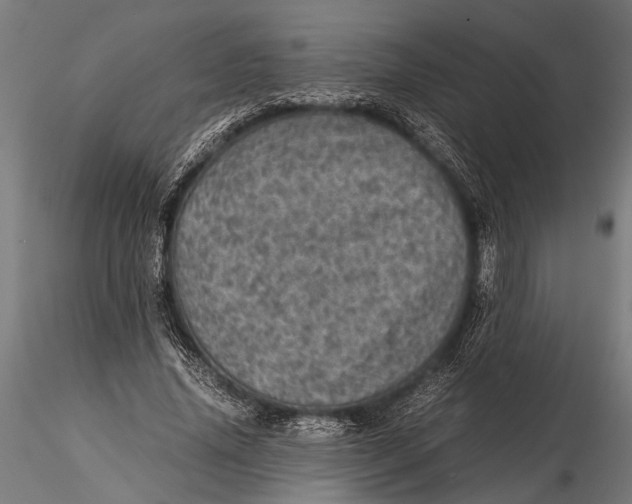 X0000116100636200912140958