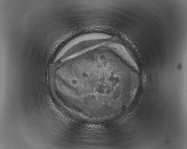 X0000116100637200912140958