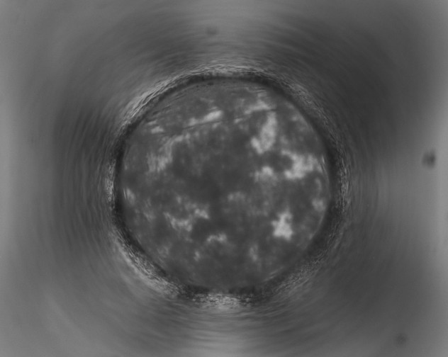 X0000116100640200912140958