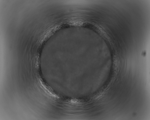 X0000116100641200912140958