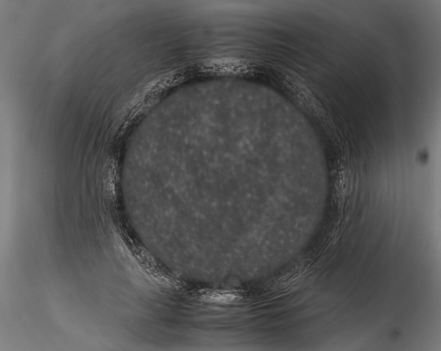 X0000116100643200912140958