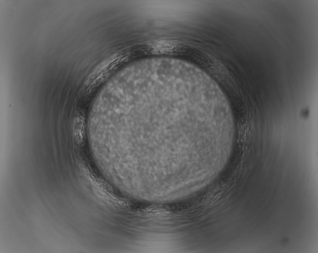 X0000116100648200912140958