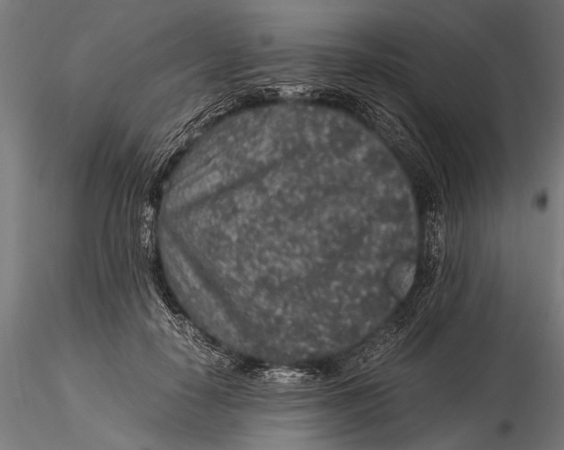 X0000116100650200912140958