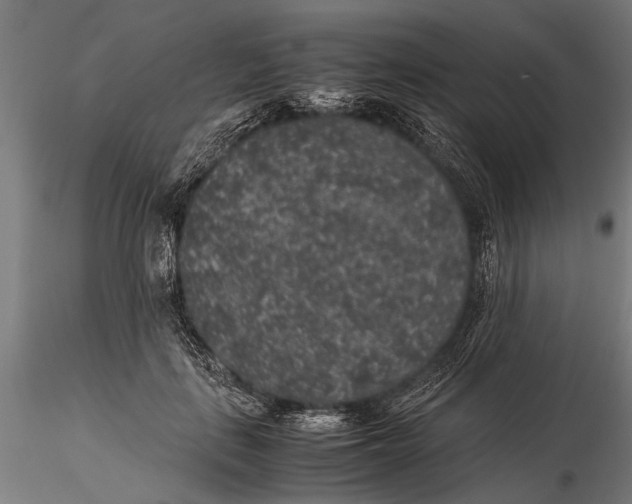 X0000116100651200912140958