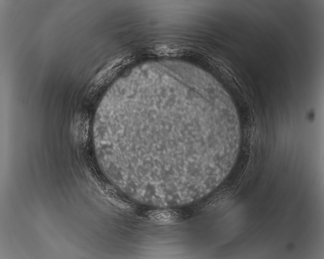 X0000116100652200912140958