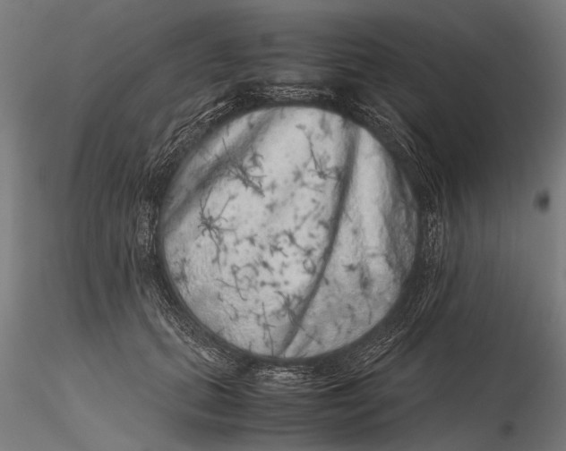 X0000116100655200912140958