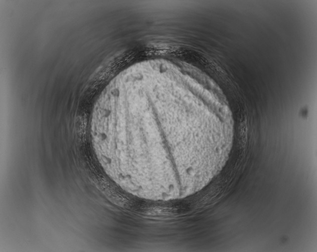 X0000116100657200912140958