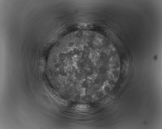 X0000116100659200912140958