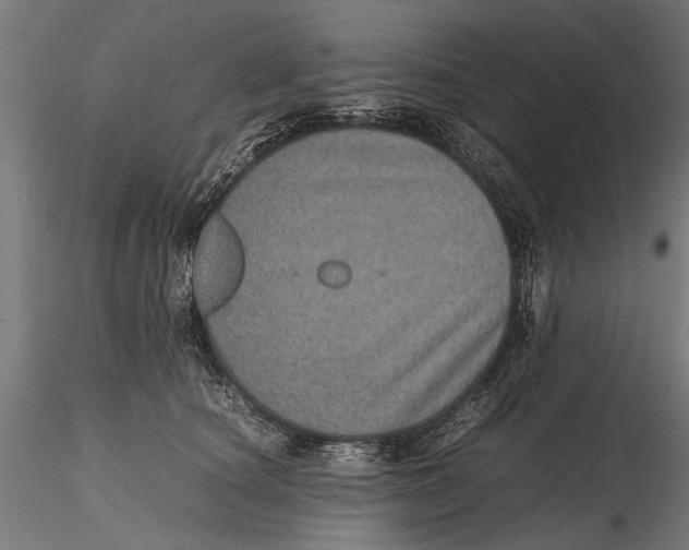 X0000116100660200912140958