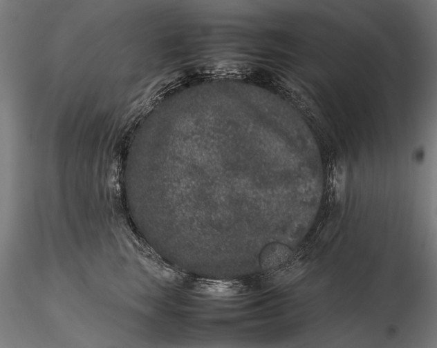 X0000116100663200912140958