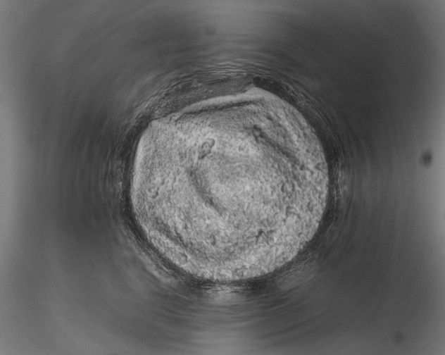 X0000116100664200912140958