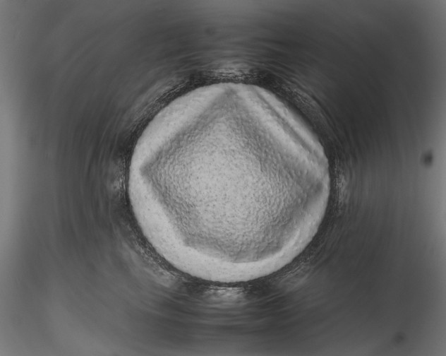 X0000116100665200912140958